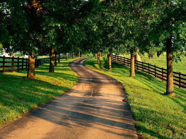 在线接收云短信验证码